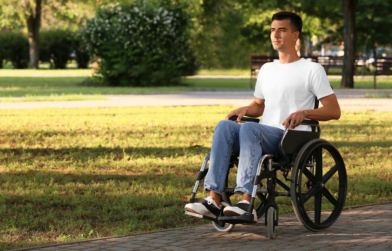Paraplegia